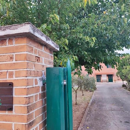 Borgo San Michele  Eco House San Michele 호스텔 외부 사진
